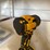 #2720-•-dewalt-compatible-impact-wrench-(cw)-image-6