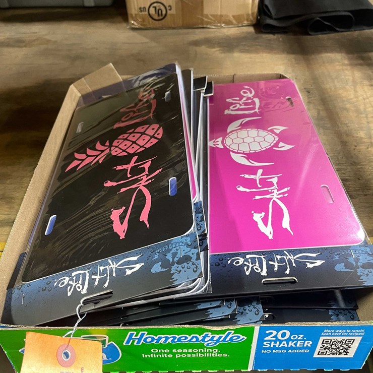 #2597 • Lisence Plates (PR10)