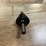 #2710-•-set-of-5-step-drills-in-metal-case-(pr13)-image-5