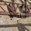 8-row-chisel-plow-image-7