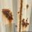 #1517-•-40'-used-container-(o1)-image-11