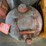 #2755-•-(3)-vintage-gas-cans-and-toolbox-(pr11)-image-6
