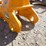 caterpillar-305-image-5