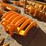 caterpillar-305-image-3