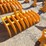 caterpillar-305-image-2