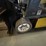 #1501-•-yale-3000lb-capacity-forklift-(wall-e)-image-16