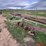 john-deere-3945-image-4