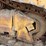 caterpillar-d6n-image-5