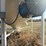 meridian-5000-bushel-hopper-bin-with-fan,-this-bin-is-designed-for-fertilizer,-however-it-has-never-had-fertilizer-in-it.-grain-only.-excellent-shape.-image-13