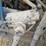 2011-international-workstar-7600-image-10