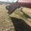 10-x-70-farmking-auger-with-swing-out-mechanical-drive-hopper￼-image-9