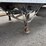 2012-great-dane-53'-reefer-image-5