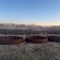 farm-retirement-online-auction-image-4