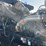 2018-kenworth-t680-image-21