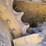 caterpillar-d4-image-51