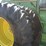 john-deere-8770-image-17