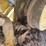 caterpillar-d4-image-37