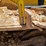 caterpillar-d4-image-46