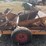 dakon-reel-type-rock-picker-image-22