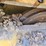 caterpillar-d4-image-47