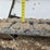 2023-bobcat-t650-image-35