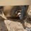 patriot-pivot-track-closer-image-13