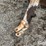 p&h-11-knife-anhydrous-applicator-image-9