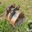 case-new-holland-24”-backhoe-bucket-image-5