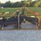 #10-•-lot-10-image-1