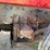 mack-dm688s-image-19