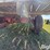 16'-hay-rack-on-westendorf-running-gear-image-17