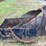 41"-dragline-bucket-image-4