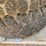 #7427-•-set-of-(4)-cooper-discover-st-tires-(antigo,-wi)-image-13