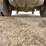 2012-dodge-ram-5500-image-23