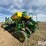 2011-john-deere-1770nt-ccs-image-7