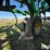 2014-john-deere-2210-image-19