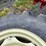 tiron-16.9-24-tire-w/-8-lug-rim-(single)-image-3