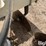 patriot-pivot-track-closer-image-15