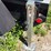 2020-doosan-g25-image-9