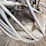 gas-powered-air-compressor-ran-approx-30-years-ago-last-time-it-was-used.-image-4