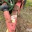 century-pull-type-sprayer-image-18