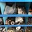 bolt-bin-with-some-assorted-image-9