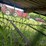 #2010-•-vintage-manure-spreader-(colfax-wi)-image-28