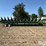 2016-john-deere-612fc-image-4