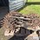 rotary-row-rolling-shields-image-4