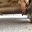 #513-•-1988-kiefer-built-horse-trailer-(no-title)-image-61