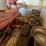 ihc-h-tractor,-narrow-front-image-8
