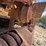 caterpillar-d3c-image-11
