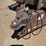 2004-cargo-express-image-11