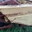 new-holland-479-image-13